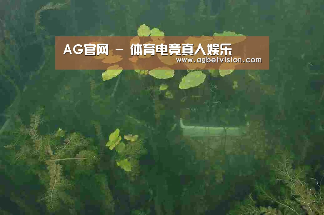 案例展示三(图1)