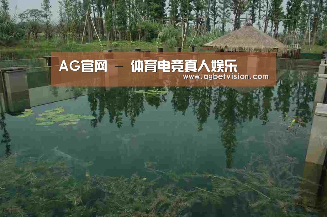 案例展示二(图1)
