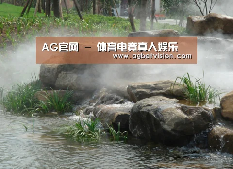 案例展示五(图1)