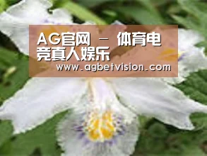 产品名称二
