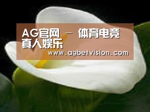 产品名称七