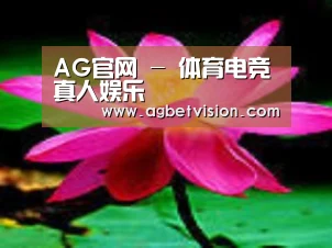 产品名称五