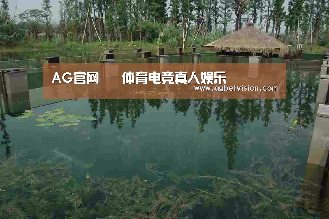 案例展示二