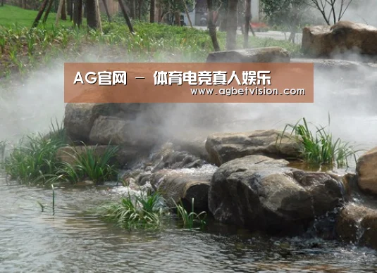 案例展示五