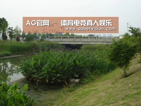 案例展示四