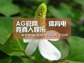产品名称三