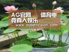 产品名称一