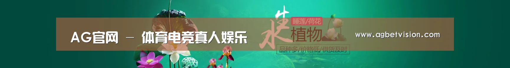 鲜花水草花卉网站模板