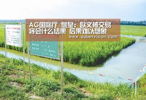 AG国际厅