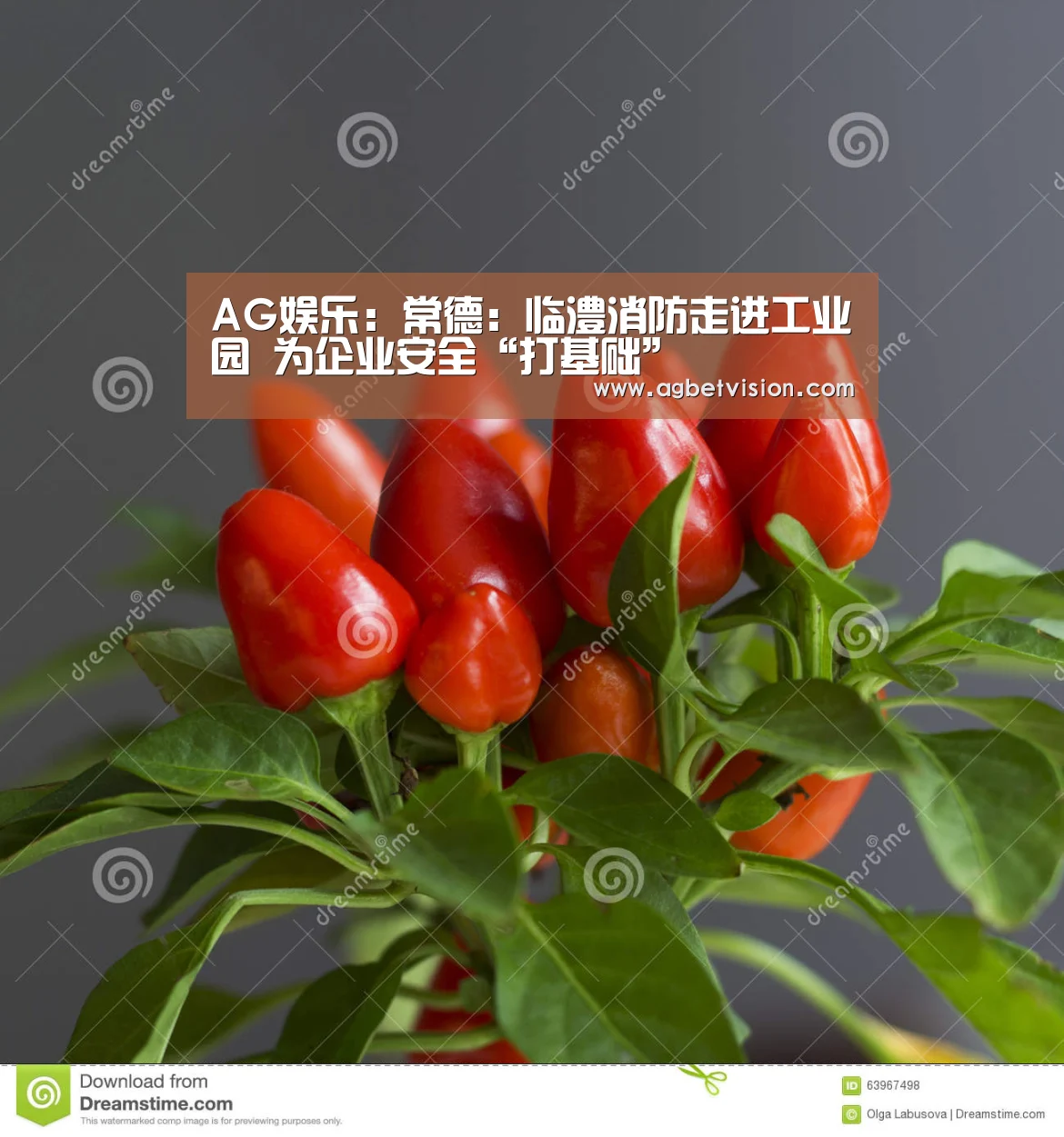 AG娱乐