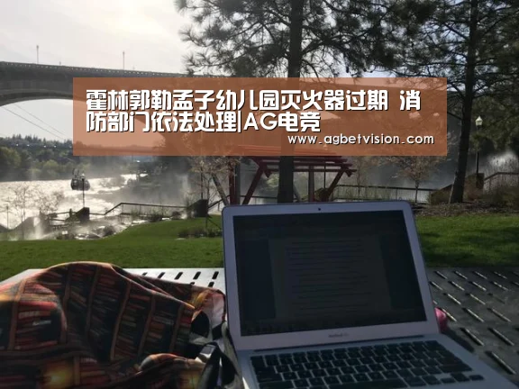 霍林郭勒孟子幼儿园灭火器过期 消防部门依法处理|AG电竞(图2) AG电竞