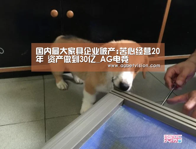 国内最大家具企业破产:苦心经营20年 资产做到30亿_AG电竞(图2) AG娱乐