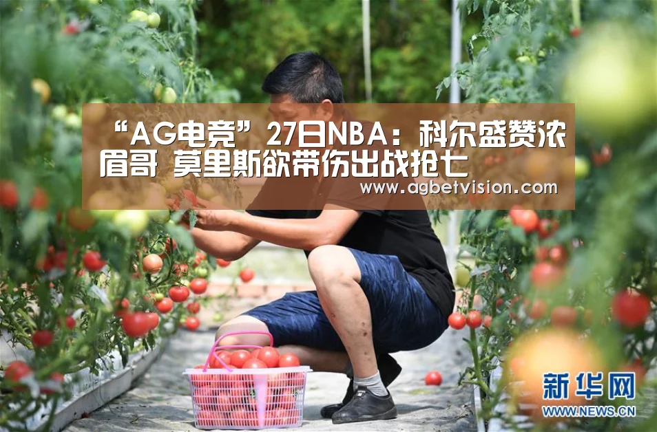 AG国际厅