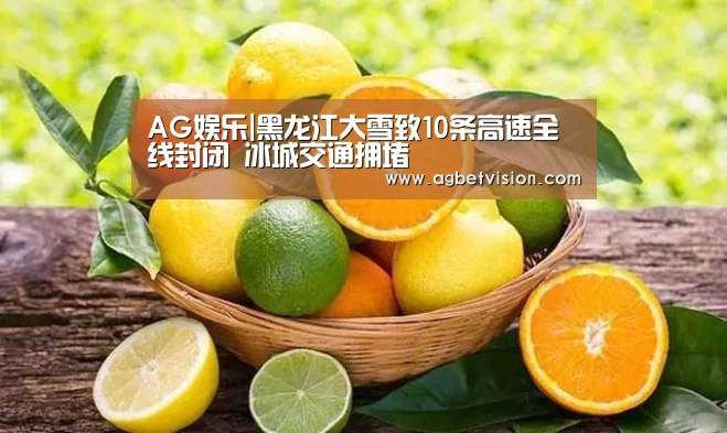 AG娱乐|黑龙江大雪致10条高速全线封闭 冰城交通拥堵(图2) AG娱乐