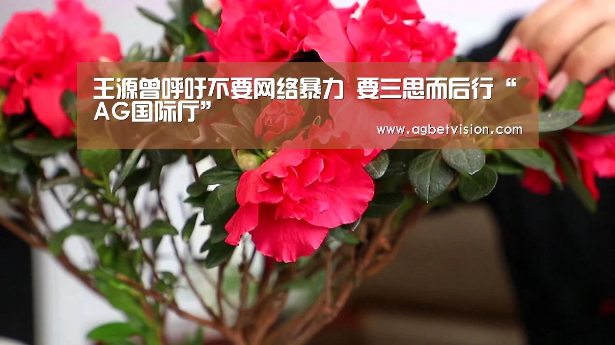 王源曾呼吁不要网络暴力 要三思而后行“AG国际厅”(图3) AG娱乐