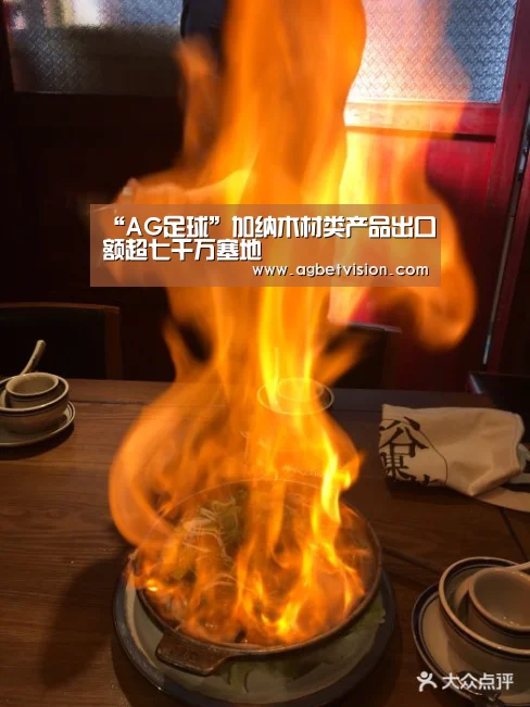 AG娱乐