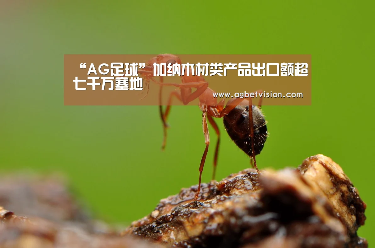 AG娱乐