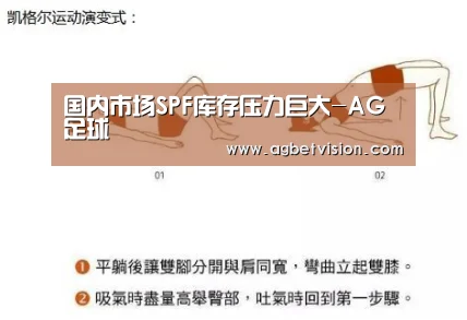 国内市场SPF库存压力巨大-AG足球(图1) AG电竞