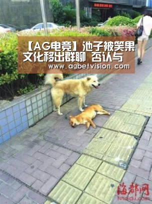 AG电竞