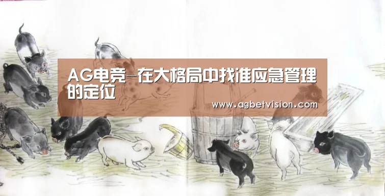 AG电竞-在大格局中找准应急管理的定位(图3) AG足球