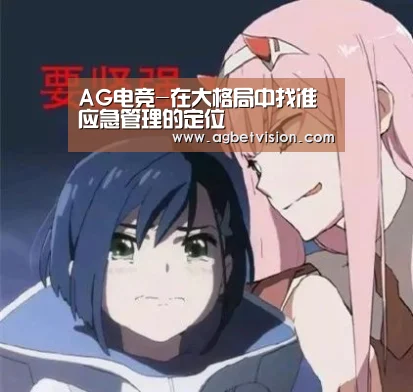 AG电竞-在大格局中找准应急管理的定位(图2) AG国际厅