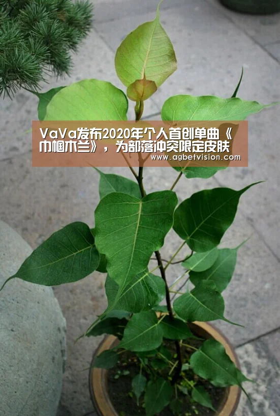 VaVa发布2020年个人首创单曲《巾帼木兰》,为部落冲突限定皮肤献唱:AG足球(图3) AG娱乐