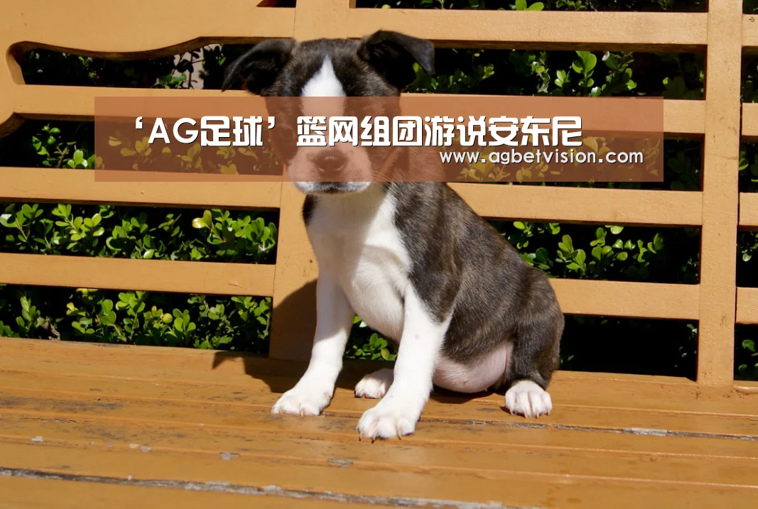 AG足球