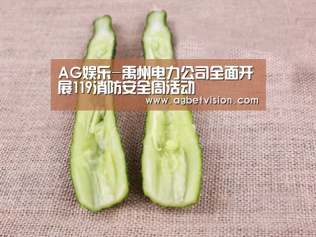 AG娱乐-禹州电力公司全面开展119消防安全周活动(图1) AG娱乐