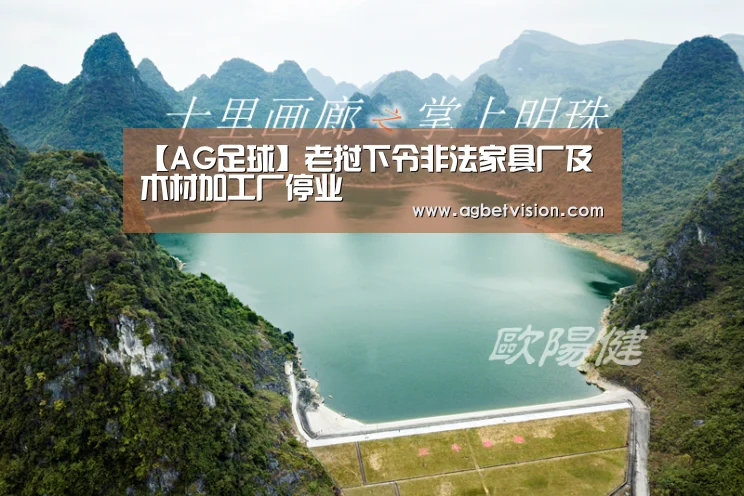 【AG足球】老挝下令非法家具厂及木材加工厂停业(图1) AG娱乐