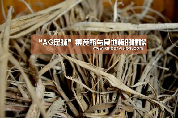 “AG足球”集装箱与其地板的憧憬(图3) AG电竞