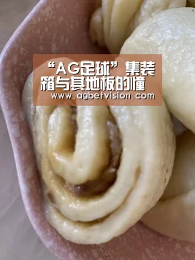 “AG足球”集装箱与其地板的憧憬(图1) AG国际厅